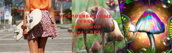 марки lsd Краснослободск