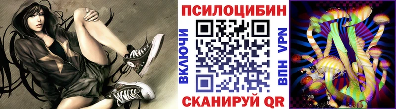 Купить где  Гаврилов-Ям  Галлюциногенные грибы Cubensis 